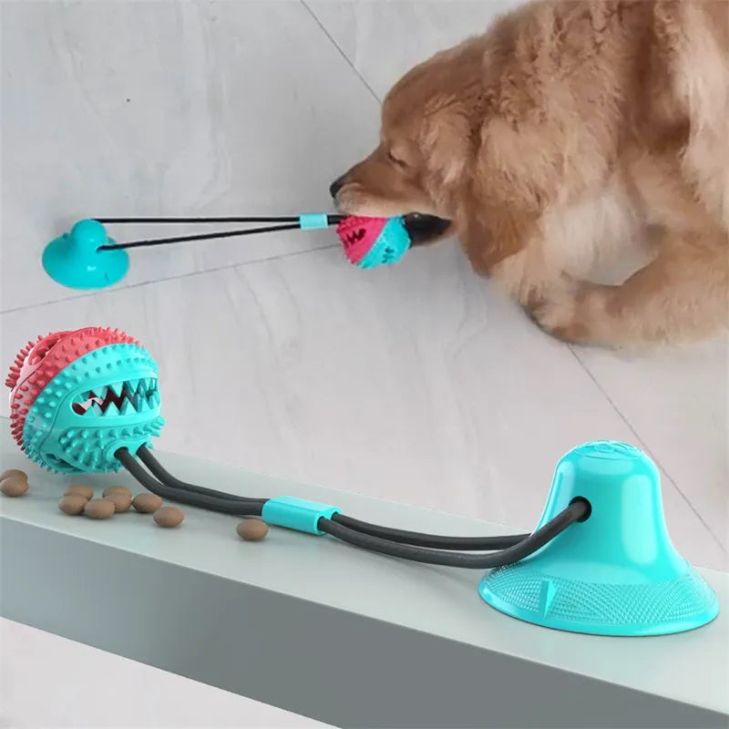 Pawzio GripBall™ Suction-Base Solo Play Toy