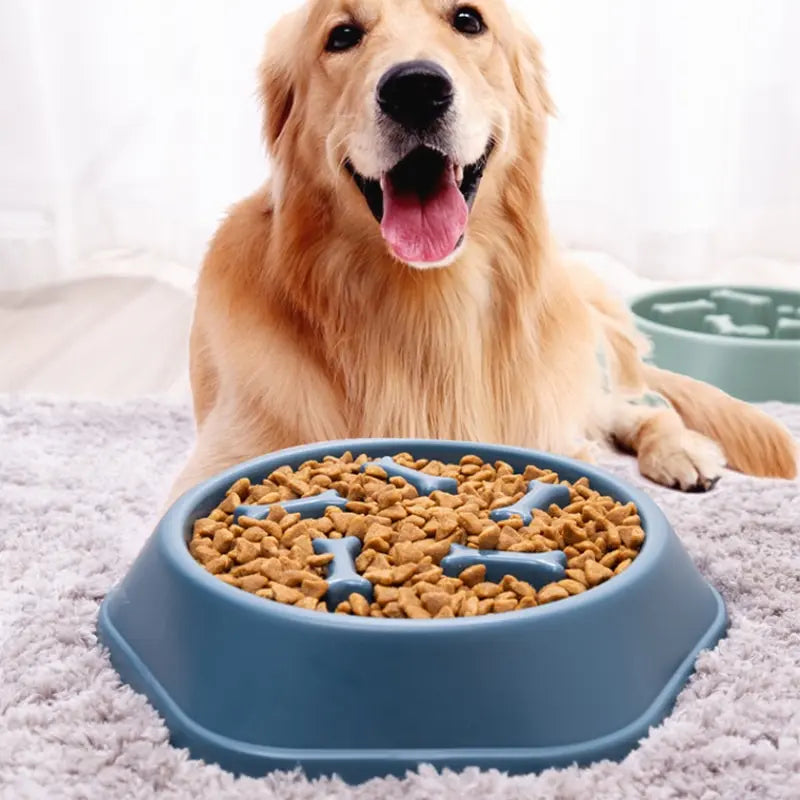 Pawzio SlowBowl Feeder