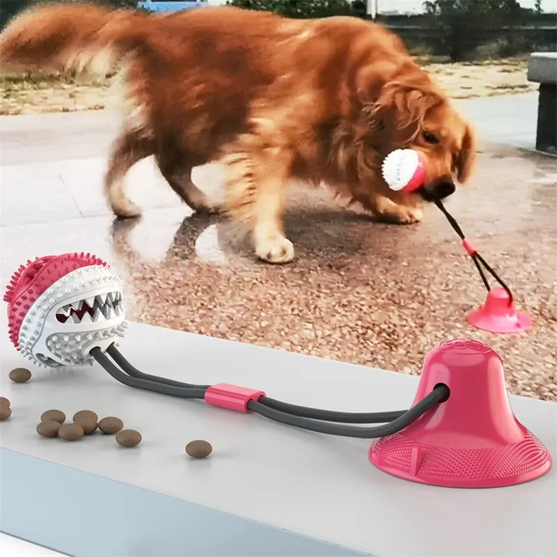 Pawzio GripBall™ Suction-Base Solo Play Toy