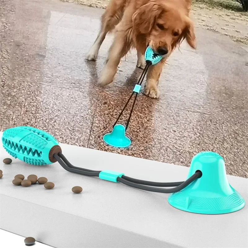 Pawzio GripBall™ Suction-Base Solo Play Toy