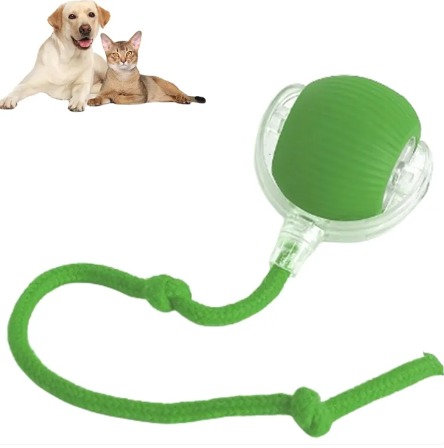 Pawzio SpinBall Interactive Toy