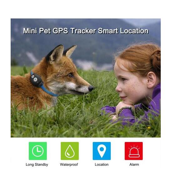 Pawzio Smart Pet GPS Collar