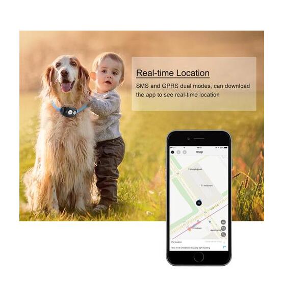 Pawzio Smart Pet GPS Collar