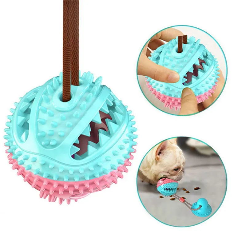 Pawzio GripBall™ Suction-Base Solo Play Toy