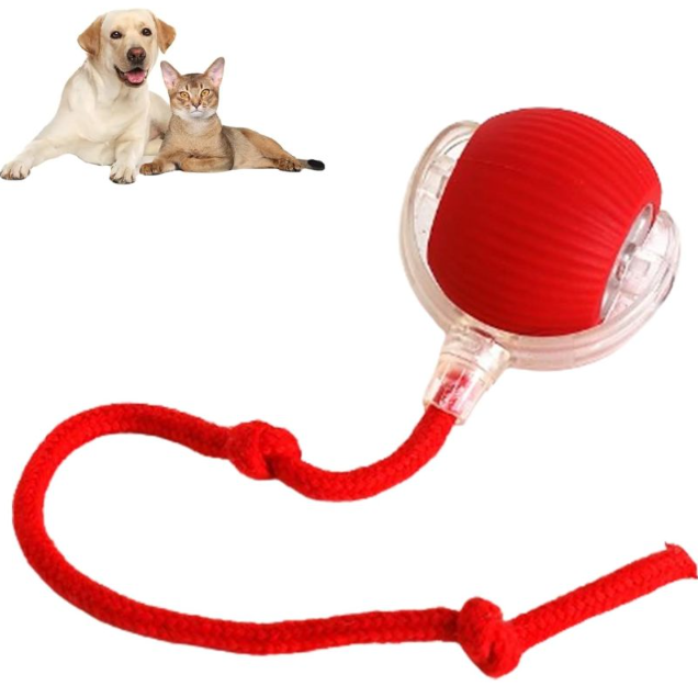 Pawzio SpinBall Interactive Toy