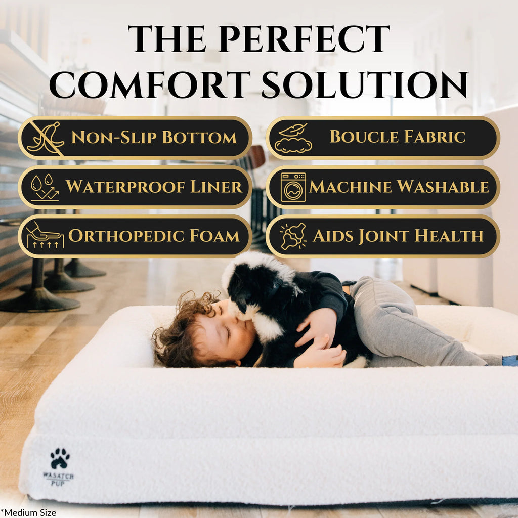 Pawzio CloudRest™ Orthopedic Memory Foam Dog Bed