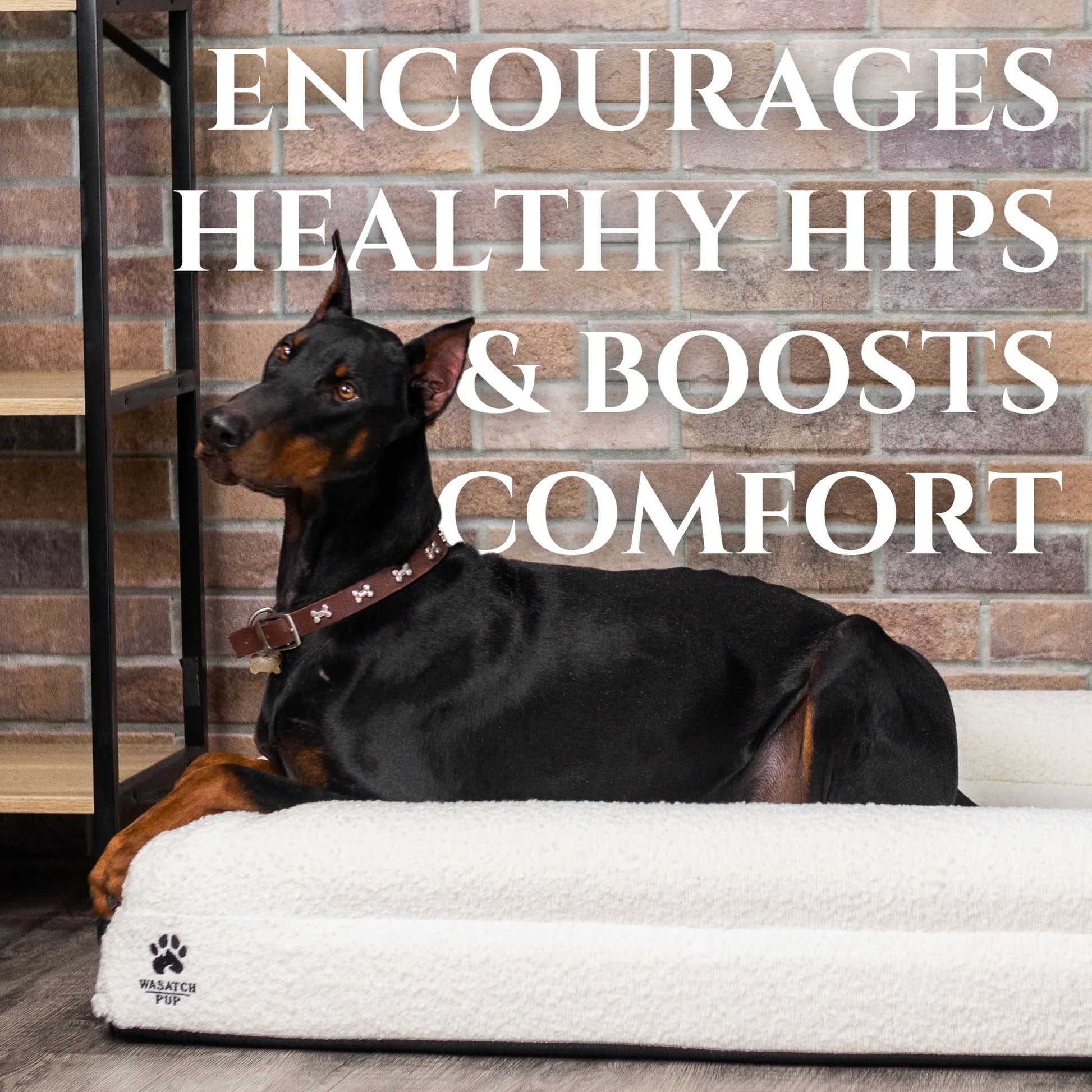 Pawzio CloudRest™ Orthopedic Memory Foam Dog Bed