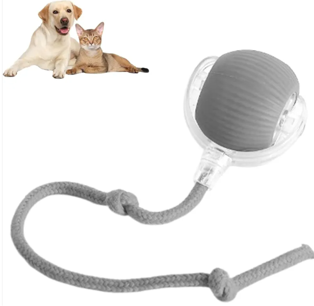 Pawzio SpinBall Interactive Toy