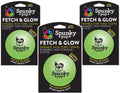 Pawzio Glow Fetch Trio Balls - Large